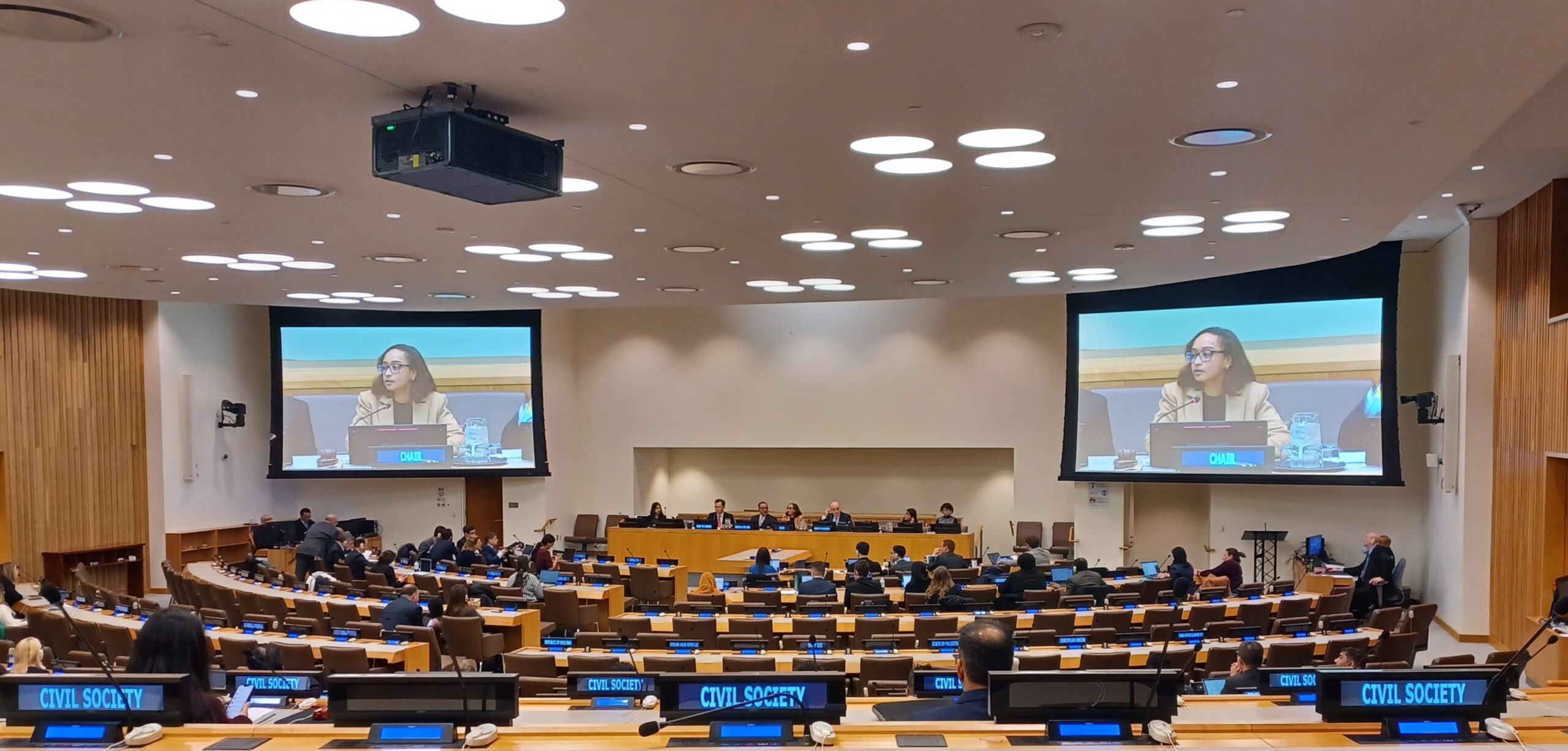 BAI Granted Special Consultative Status with UN ECOSOC